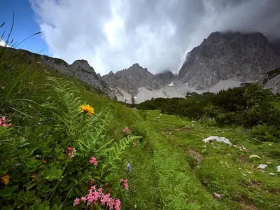Naturlandschaft in der Nähe des Bauernhofs