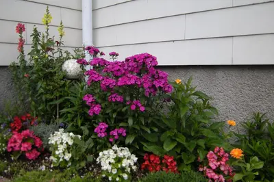 Ein Garten an der Unterkunft Haus Schraml