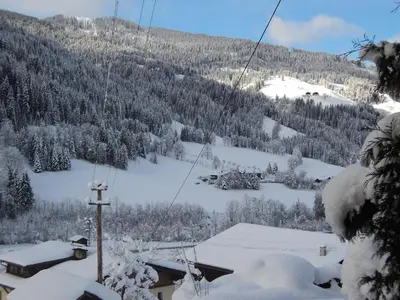 Gondelblick im Winter