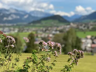 Grundriss der Unterkunft Oase im Ennstal Classic Landhaus