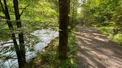 Naturlandschaft in der Nähe des Ferienhauses