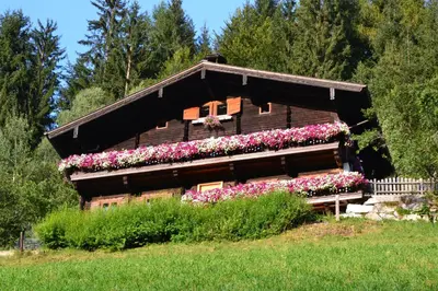 Ein Garten an der Unterkunft Haus Hinterfürbach