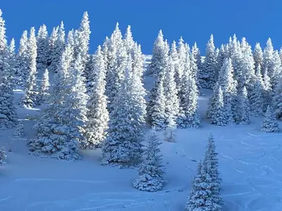 Ferienwohnungen Waltraud Trinker, Haus im Winter
