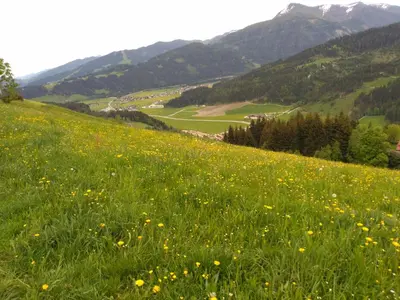 Naturlandschaft in der Nähe der Ferienwohnung