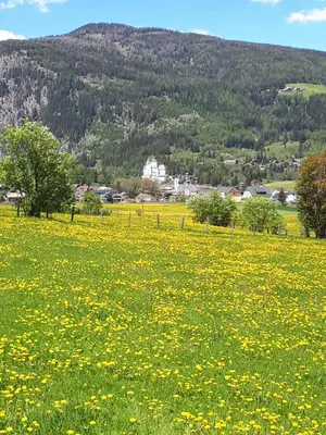Naturlandschaft in der Nähe der Ferienwohnung