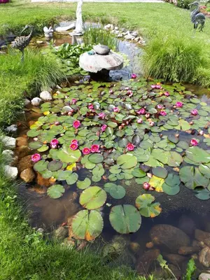 Ein Garten an der Unterkunft Apartment Haus Dengg
