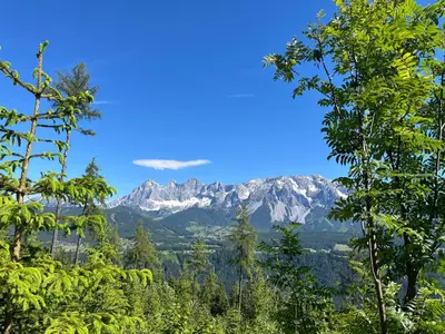 Naturlandschaft in der Nähe der Ferienwohnung