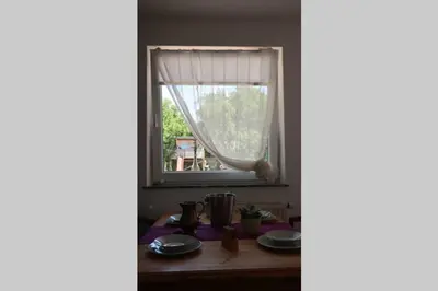 Grundriss der Unterkunft Grüner Baum ferienwohnung