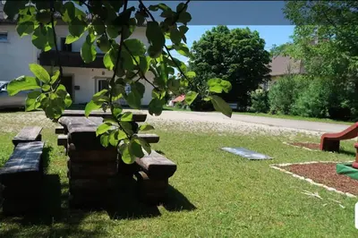 Ein Garten an der Unterkunft Grüner Baum ferienwohnung