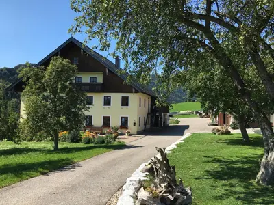 Ein Garten an der Unterkunft Ferienwohnung Radauer