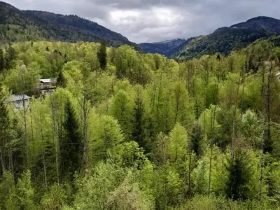 Naturlandschaft in der Nähe der Ferienwohnung
