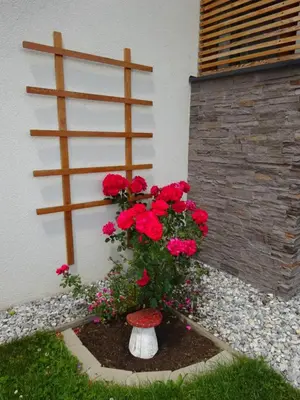 Ein Garten an der Unterkunft Haus Lienbacher
