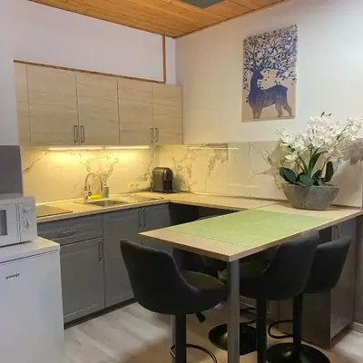 Cosy Apartment