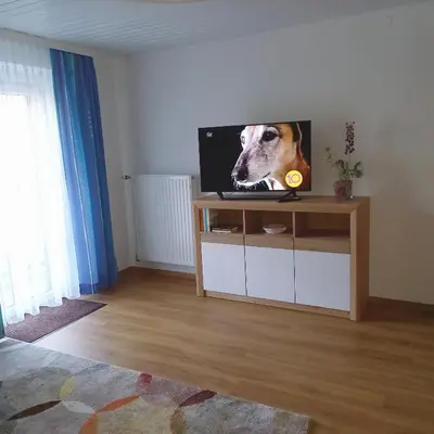 TV/Unterhaltungsangebot in der Unterkunft Gästehaus Sieglinde