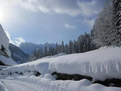 Gästehaus Sieglinde im Winter