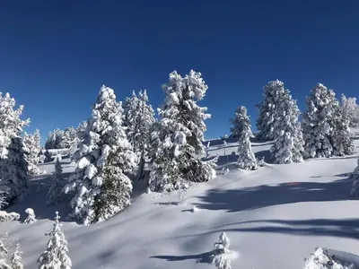Wohlfühl-Appartement inklusive MurauGästeCard im Winter