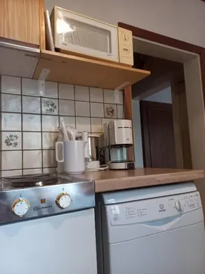 Küche/Küchenzeile in der Unterkunft Appartements direkt am See