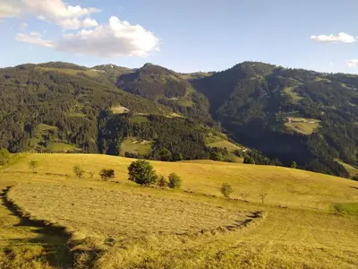 Naturlandschaft in der Nähe der Ferienwohnung