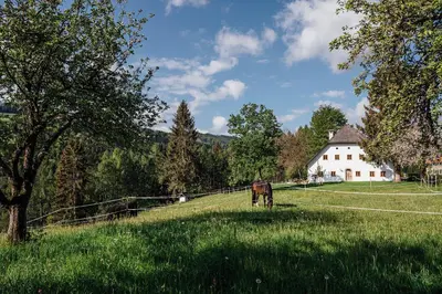 Naturlandschaft in der Nähe des Ferienhauses