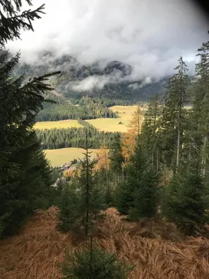 Naturlandschaft in der Nähe des Chalets