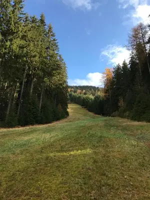 Naturlandschaft in der Nähe des Chalets