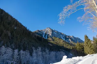 Naturlandschaft in der Nähe des Chalets