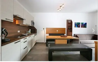 Küche/Küchenzeile in der Unterkunft Deluxe Apartment SCHRABERGER TOP 6