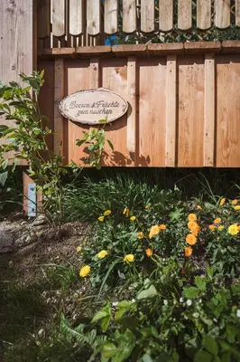 Ein Garten an der Unterkunft Luxus Ferienhaus für Familie und Hund