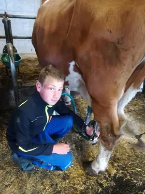 Tiere in der Ferienwohnung oder in der Nähe
