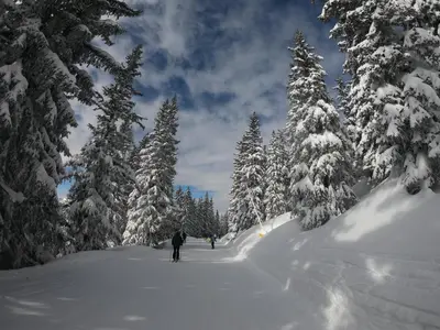 Bergchalet Dein Paradies im Winter