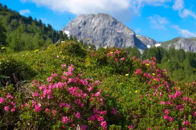 Naturlandschaft in der Nähe der Ferienwohnung