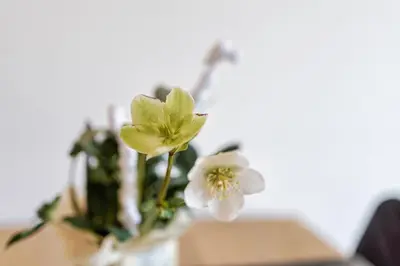 Grundriss der Unterkunft Ski & Nature Apartment