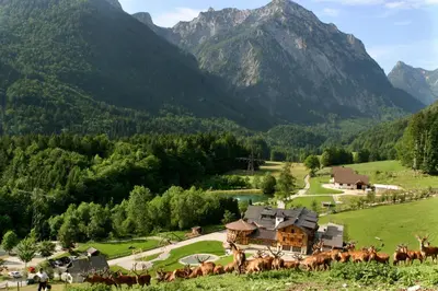 Naturlandschaft in der Nähe des Hotels