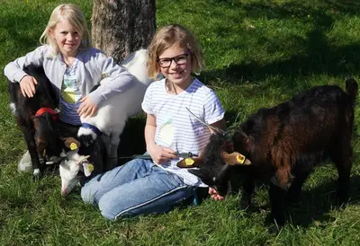 Tiere in der Ferienwohnung oder in der Nähe