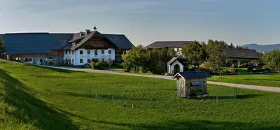 Naturlandschaft in der Nähe der Ferienwohnung
