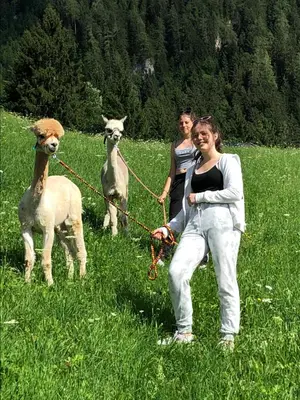 Tiere in der Ferienwohnung oder in der Nähe