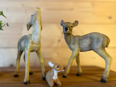 Tiere in der Ferienwohnung oder in der Nähe