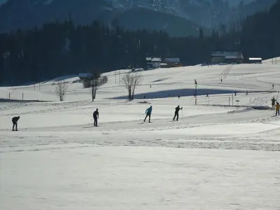 Pension Wald im Winter