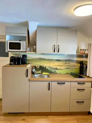 Küche/Küchenzeile in der Unterkunft Das Almsternderl - gemütliche Wohnung in Gosau