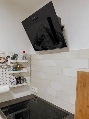 TV/Unterhaltungsangebot in der Unterkunft Traunsee Design Apartment for 2 People