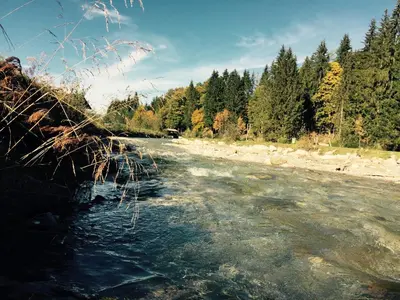 Naturlandschaft in der Nähe der Ferienwohnung