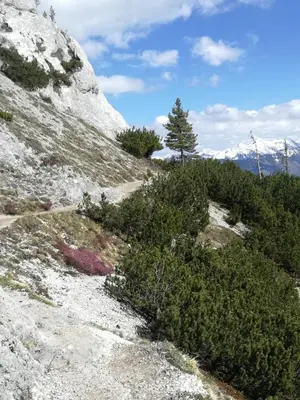 Naturlandschaft in der Nähe der Ferienwohnung