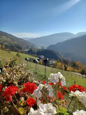 Naturlandschaft in der Nähe der Ferienwohnung