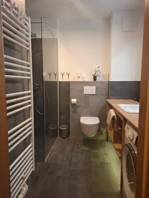 Ein Badezimmer in der Unterkunft Deluxe Alpenkrone Schladming
