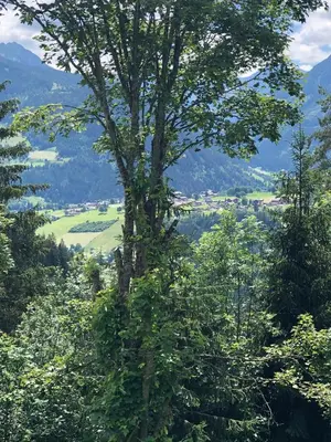 Naturlandschaft in der Nähe der Ferienwohnung