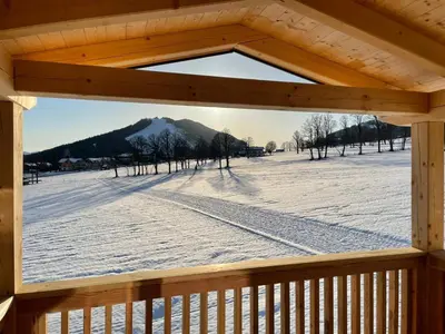 Adlernest im Winter