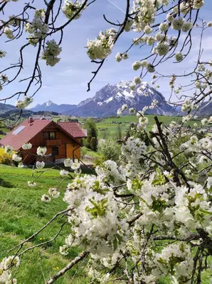Naturlandschaft in der Nähe des Ferienhauses