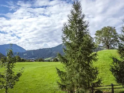 Naturlandschaft in der Nähe des Ferienhauses