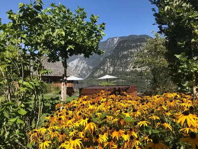 Naturlandschaft in der Nähe der Ferienwohnung