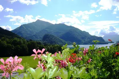 Naturlandschaft in der Nähe des Bed & Breakfasts